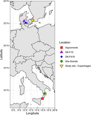 Addressing the altitudinal and geographical gradient in European beech via photosynthetic parameters: a case study on Calabrian beech transplanted to Denmark